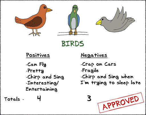 birds