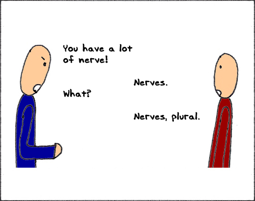 nerves