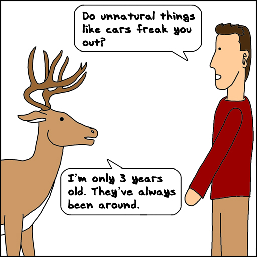 deer cars