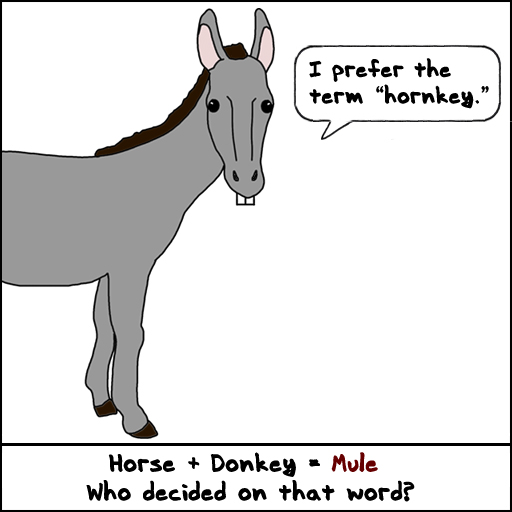 mule hornkey