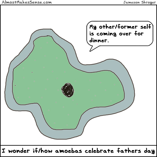 Amoebas Fathers