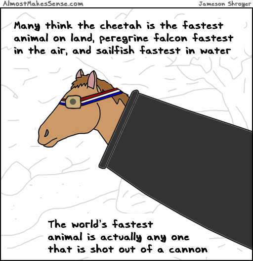 Worlds Fastest Animal