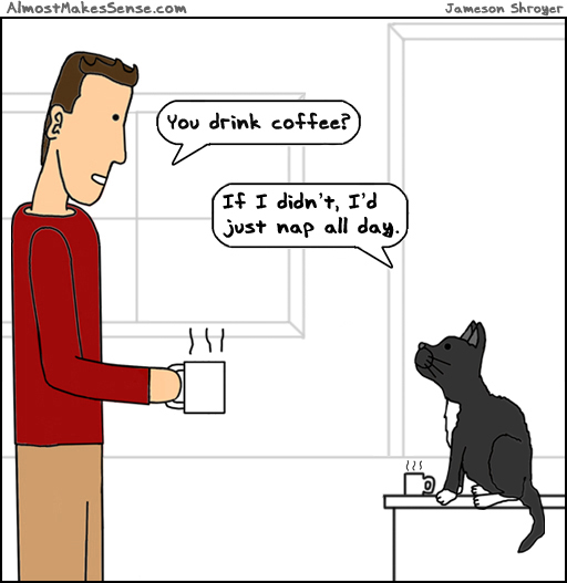 Cat Coffee Nap