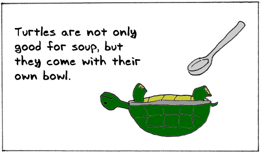 Turtlesoup