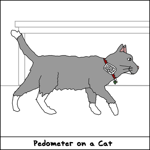 Cat Pedometer