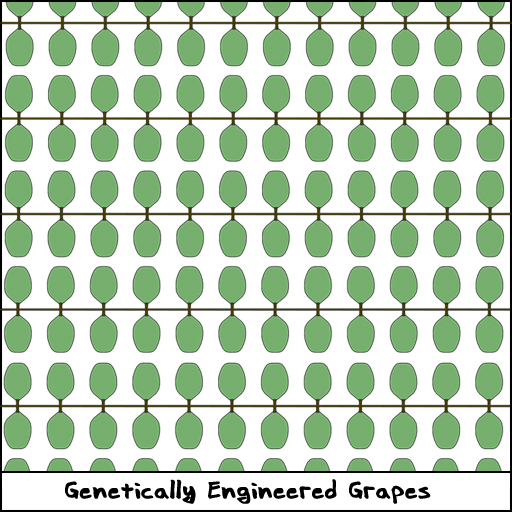 Engineered Grapes