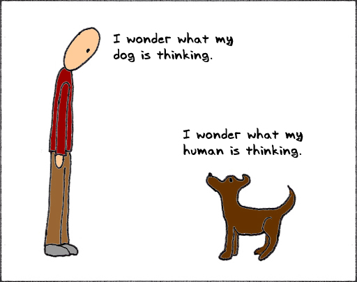 Dog Thinking