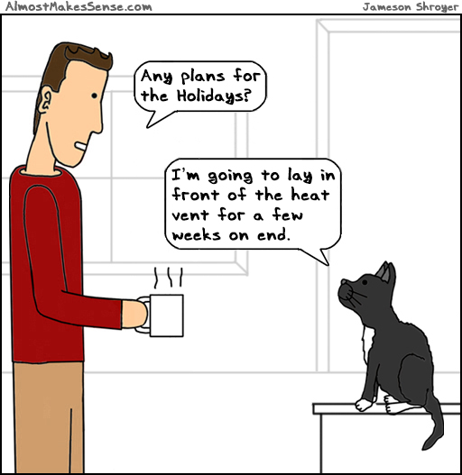 Cat Holiday Plans