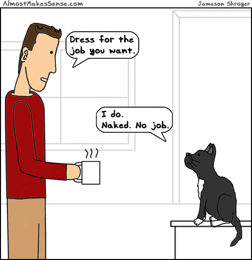 Cat Dress Job