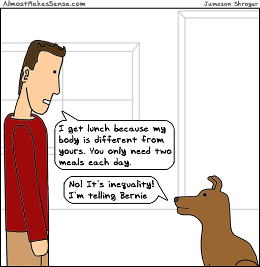 Dog Meals Bernie