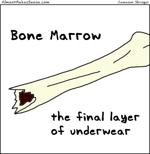 Bone Marrow Underwear