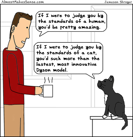 Judge Cat