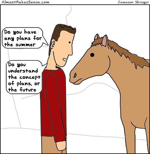Horse Plans