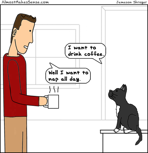 Cat Coffee Nap