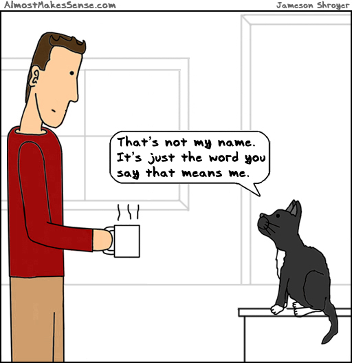 Cat Not Name