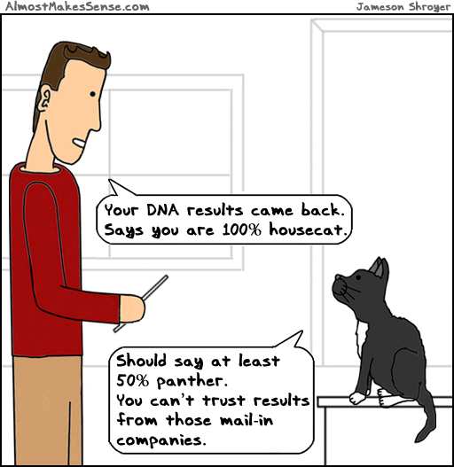 Cat DNA