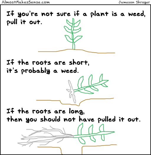 Weed Roots